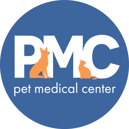 Pet Travel Safety  Animal Medical Center