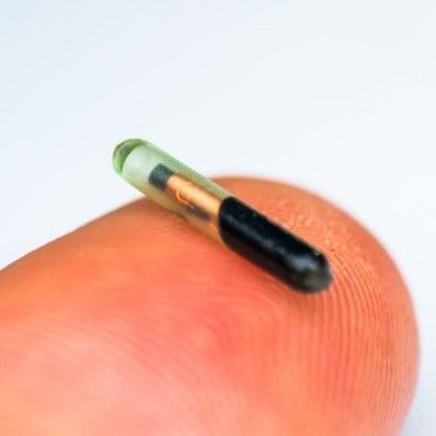 Small pet microchip resting on a finger