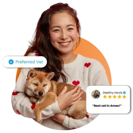 Veterinarian Clinic Ames IA Pet Medical Center Hospital