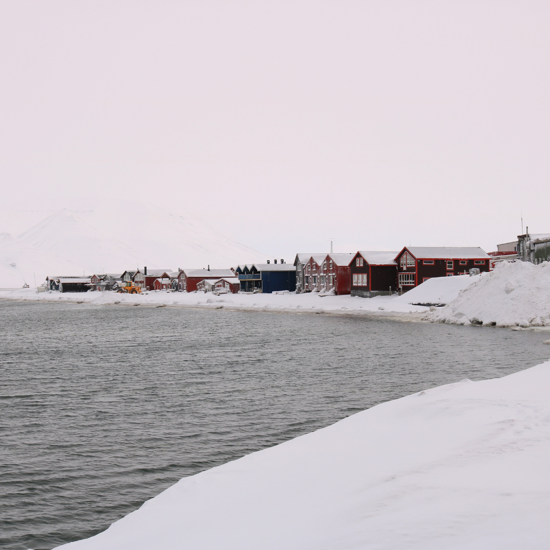 A snowy shoreline with a row of houses in the background