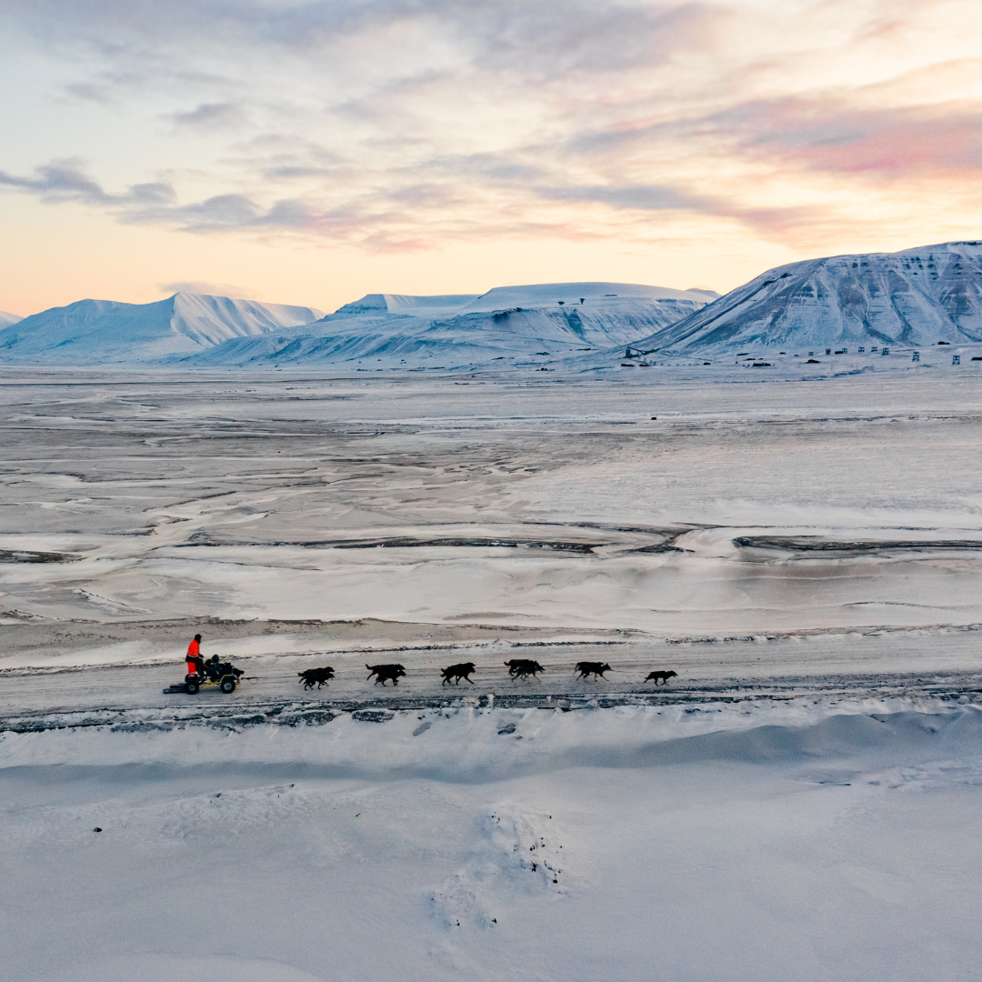 A person is riding a motorcycle through a snowy field.