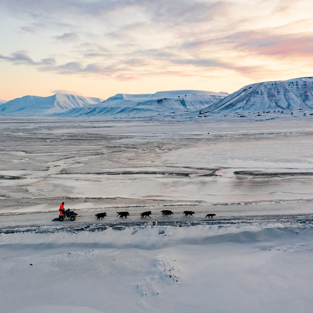 A person is riding a motorcycle through a snowy field.
