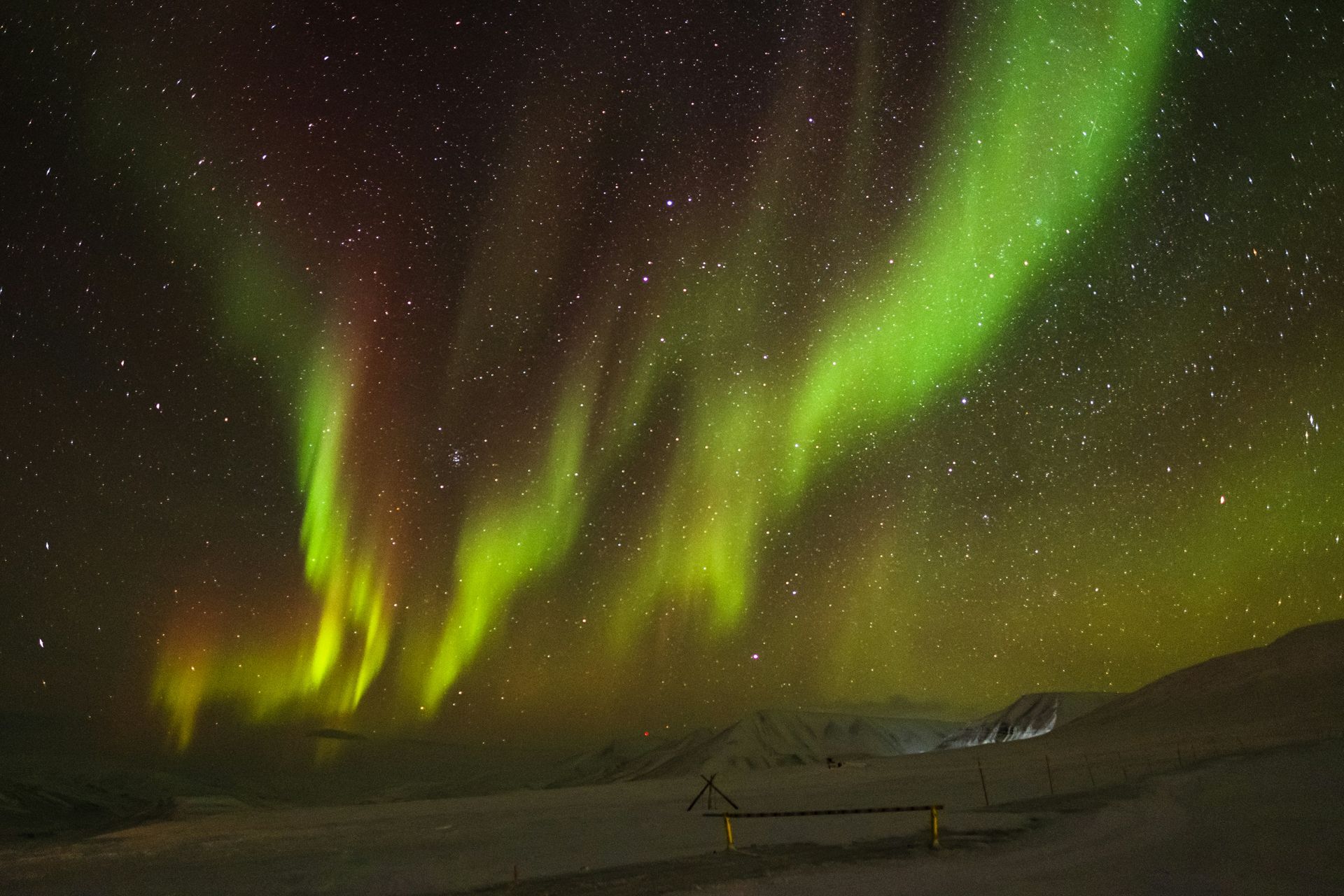The aurora borealis is dancing in the night sky over a snowy landscape.