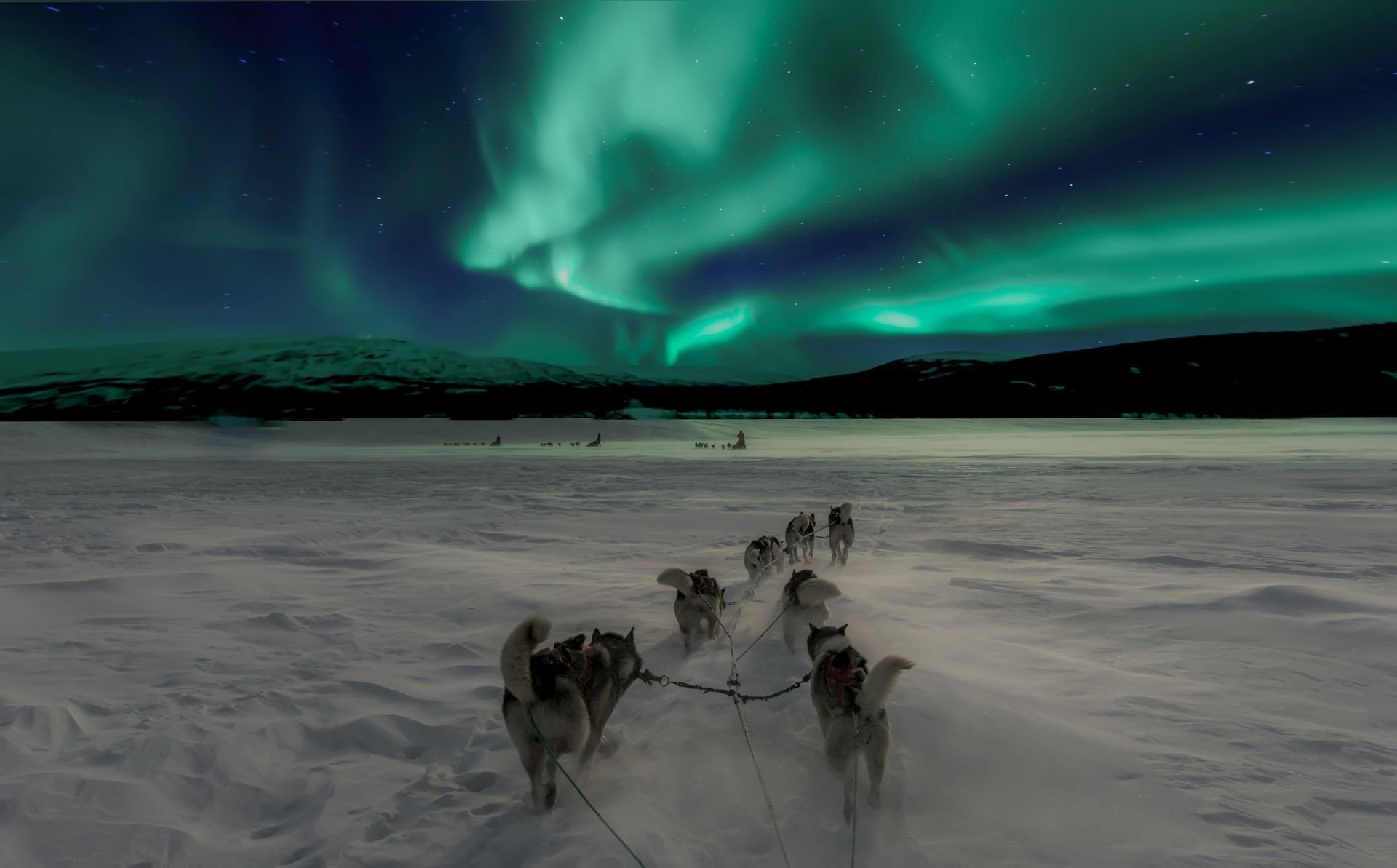 A group of husky dogs pulling a sled in the snow under the aurora borealis.