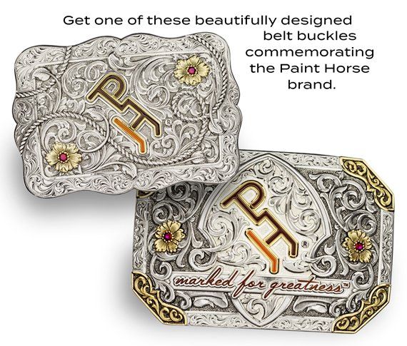 Round-Up Collection Buckles