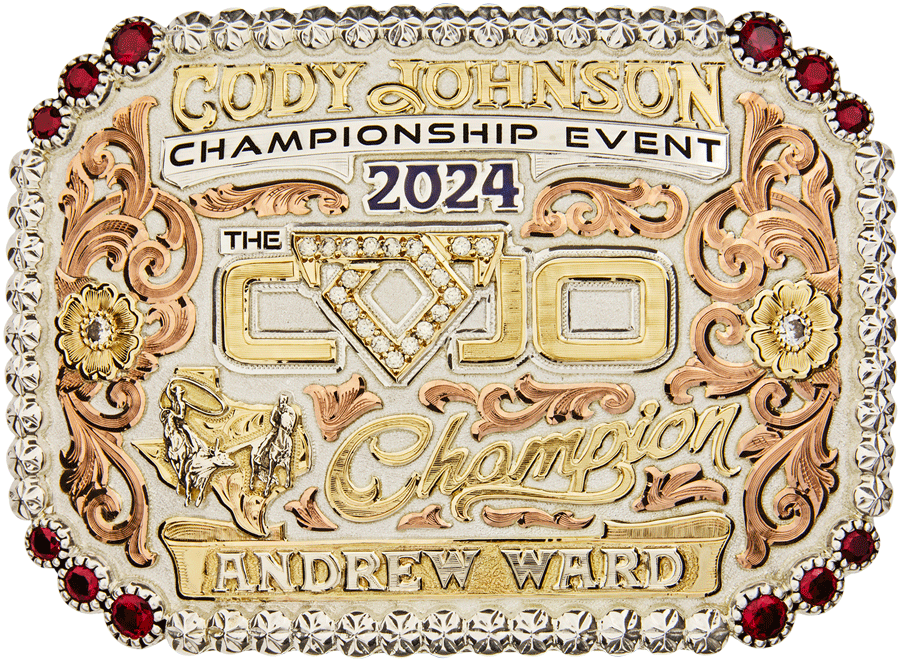 The Run For A Million Reining Horse The Last Cowboy Gold Buckle