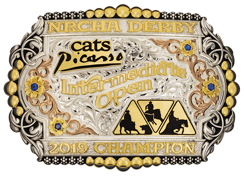 NRCHA Derby Cats Picasso Intermediate Open Reined Cowhorse Champion Award Trophy Buckle
