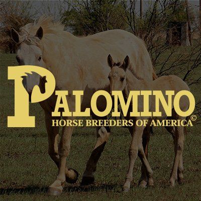 PHBA-Palomino Horse Breeders Association