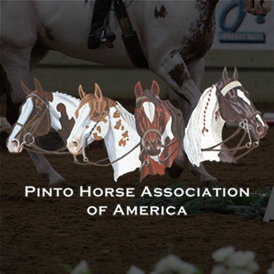 PtHA-Pinto Horse Breeders Association of America