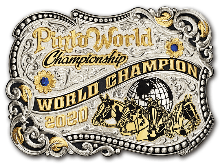 Pinto World Championship World Champion Trophy Award Buckle PtHA