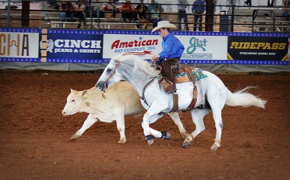 Trail Townsend NHSFR NRCHA Reined Cow Horse