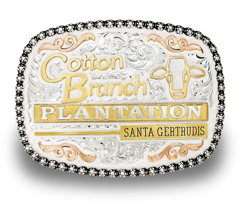 Cotton Branch Plantation Santa Gertrudis Custom Buckle