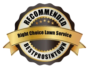 Gold and black “Recommended” badge for Right Choice Lawn Service, with “BestProsInTown” ribbon.