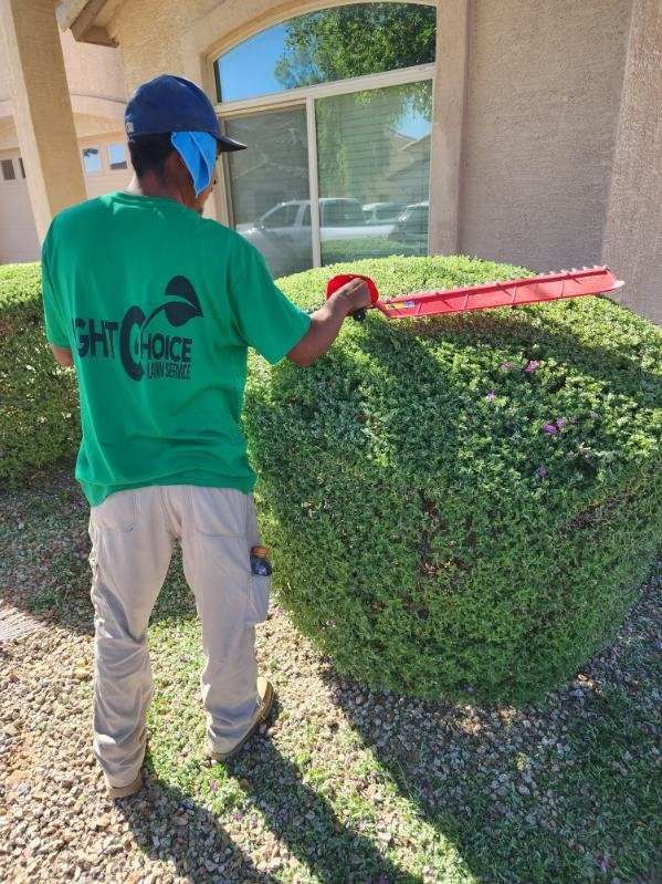 Worker trimming a hedge with red electric trimmer beside a house in sunlight