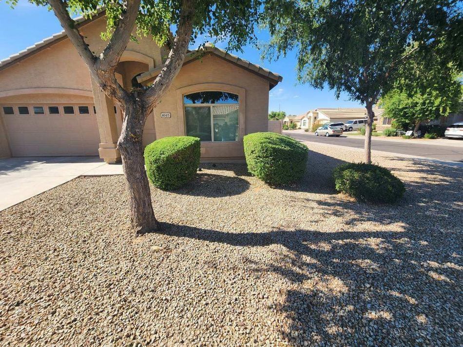 Suburban house with desert landscaping, trimmed bushes, and a tree in the front yard.