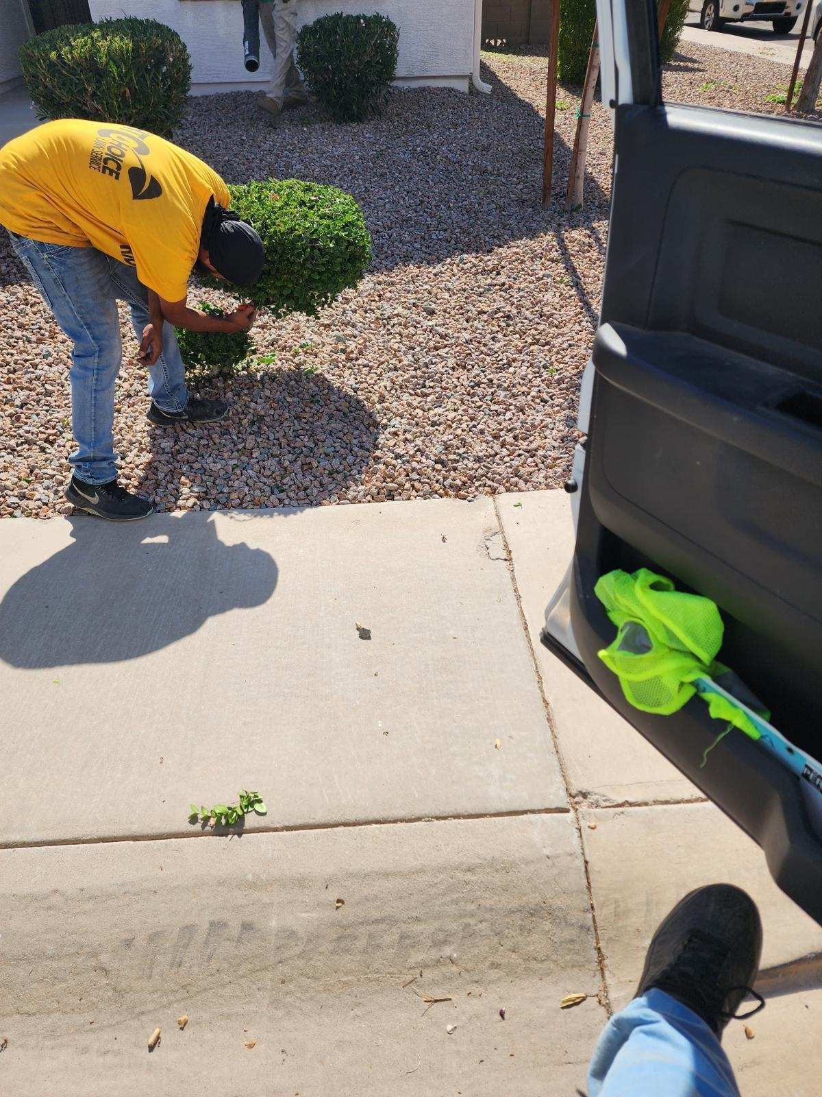 Person in a yellow shirt bending to pick up debris beside a sidewalk and open car door.