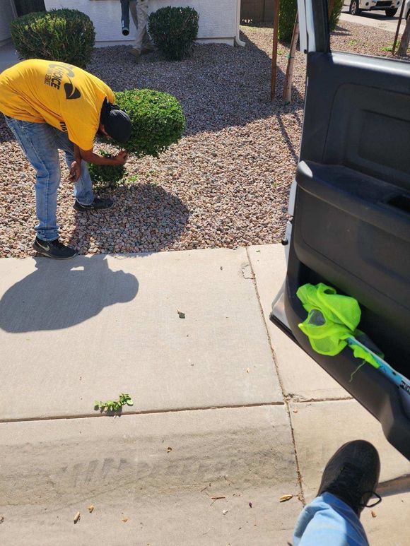 Person in a yellow shirt bending to pick up debris beside a sidewalk and open car door.