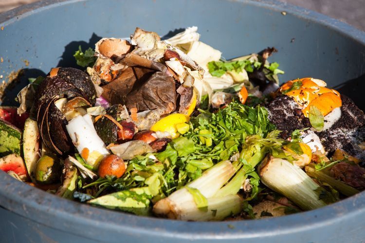 Effective Waste Management of Food Waste