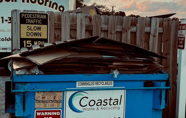 Overloaded dumpster, full garbage container, household garbage bin