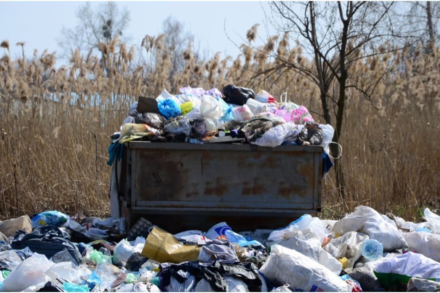 dumpster in a dump site