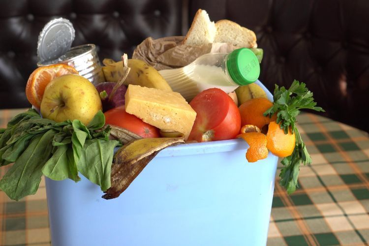help reduce food waste