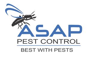 Pest Control Gold Coast