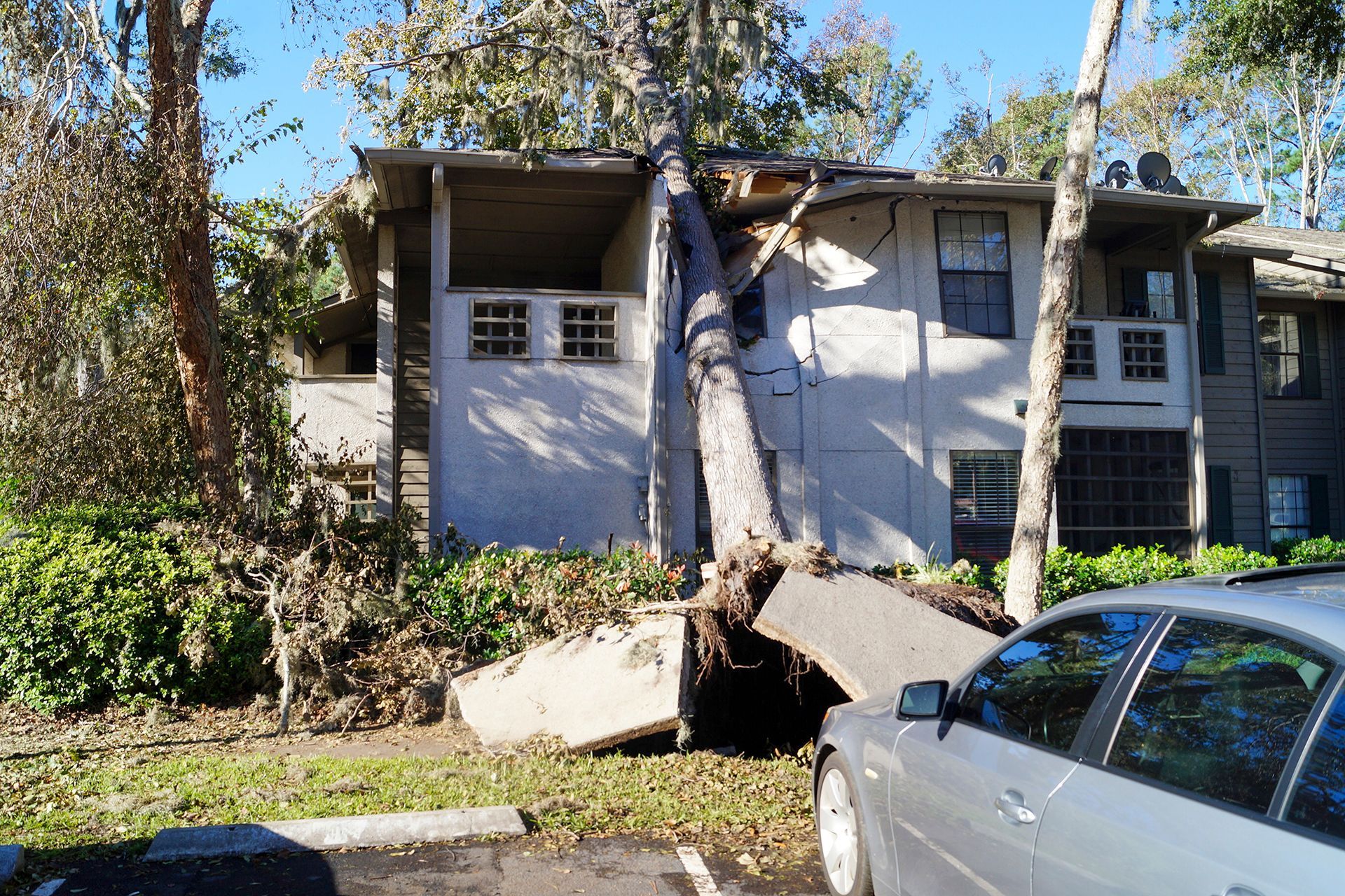 Tree Fell on House