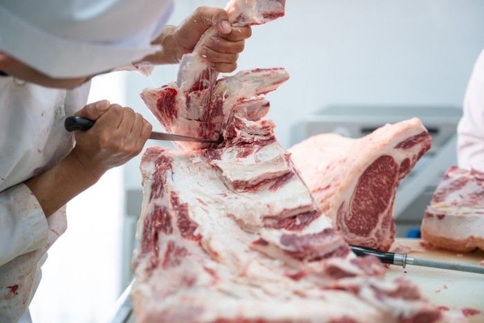 Close up butcher working separate the bone from the meat with a knife at table in the slaughterhouse, Wagyu Beef, Meat industry