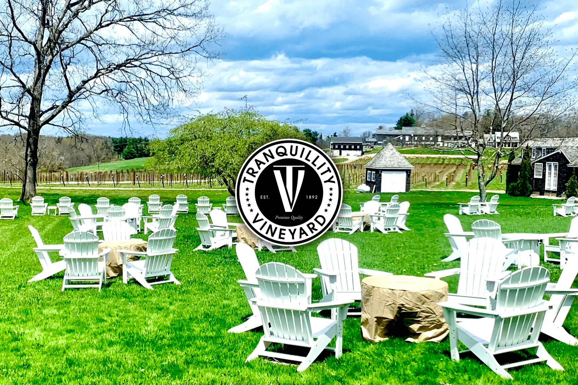 A row of white chairs and tables in a grassy field at Tranquillity Vineyard.