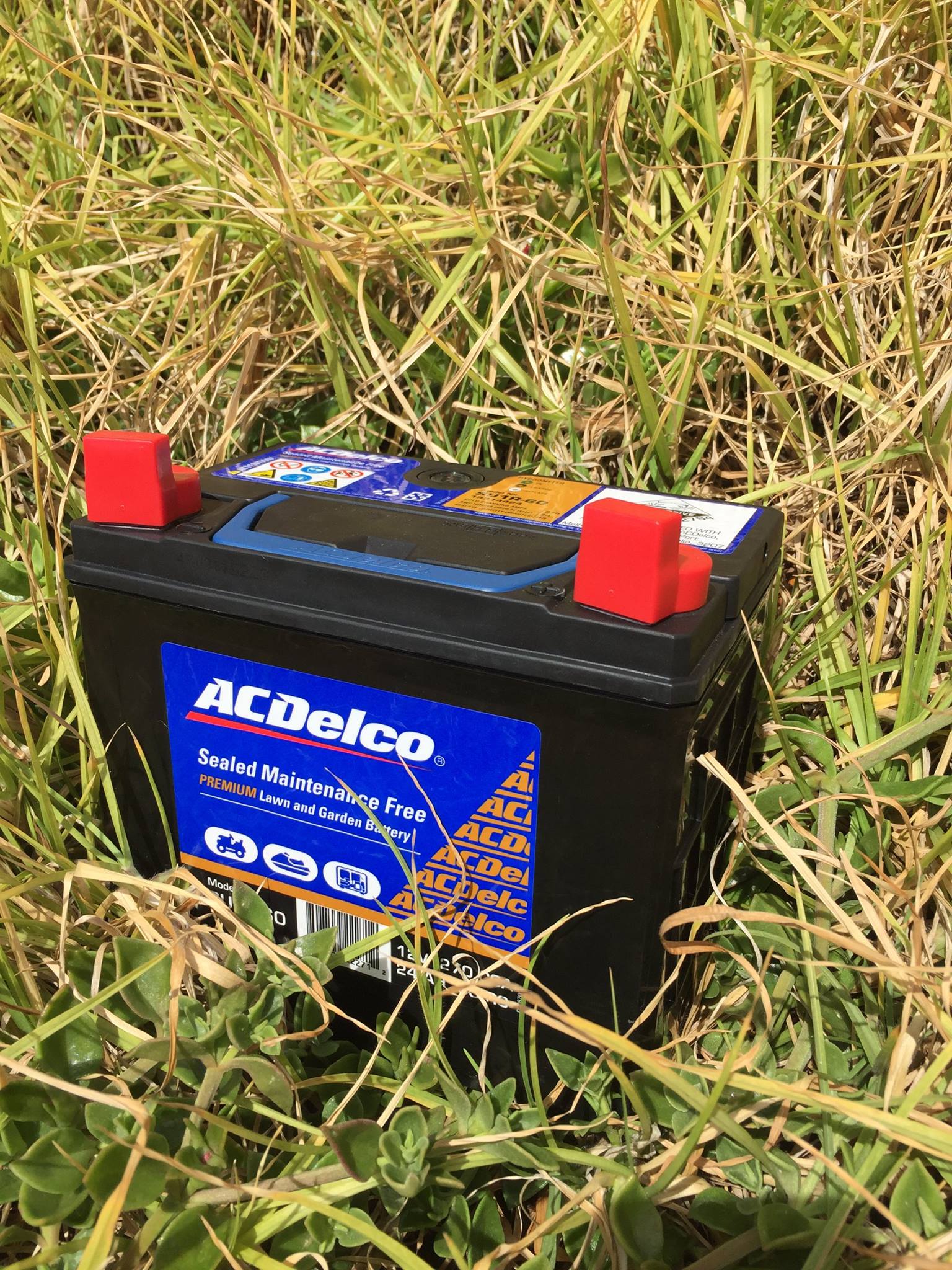 AC Delco Battery In The Grass