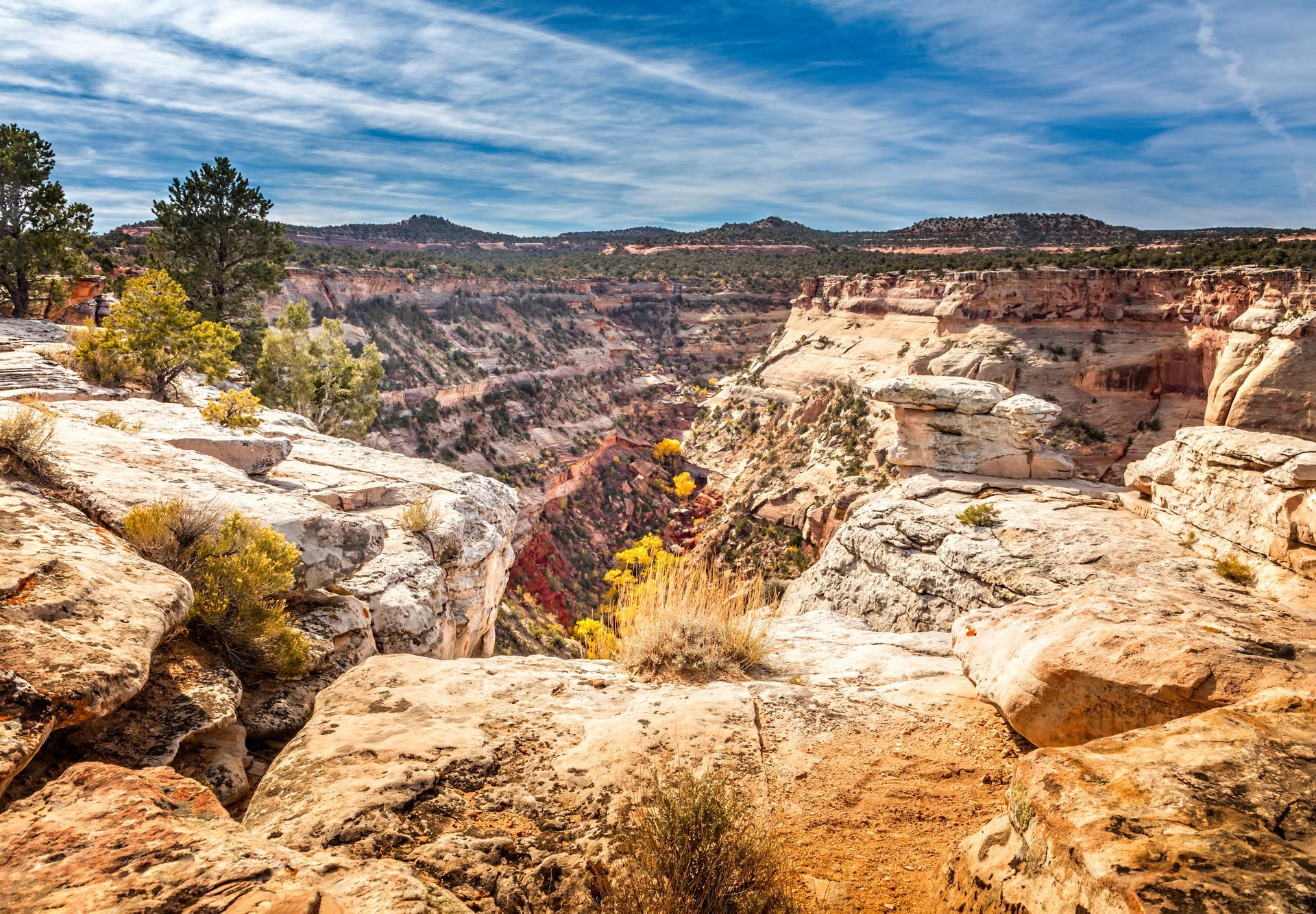 Canyon view: reddish-brown rock formations, blue sky, some trees and vegetation.