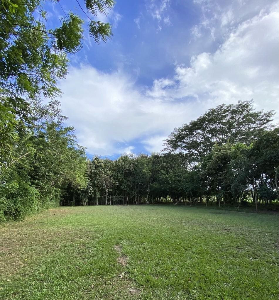 Green grassy field surrounded by trees under a blue sky with fluffy clouds.