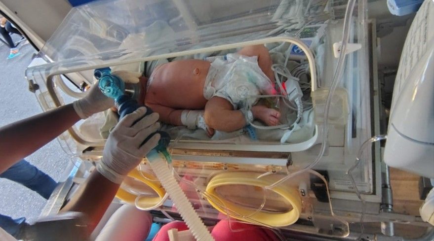 Green grassy field surrounded by trees under a blue sky with fluffy clouds.