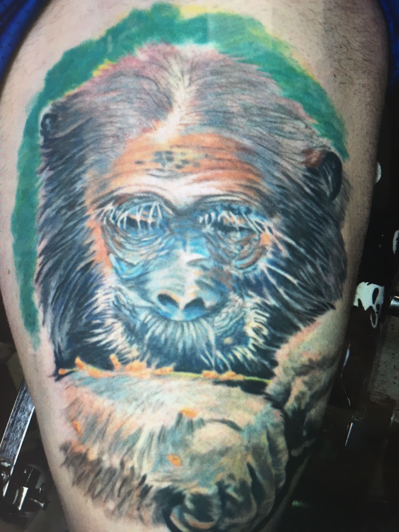 A close up of a tattoo of a chimpanzee on a person 's leg