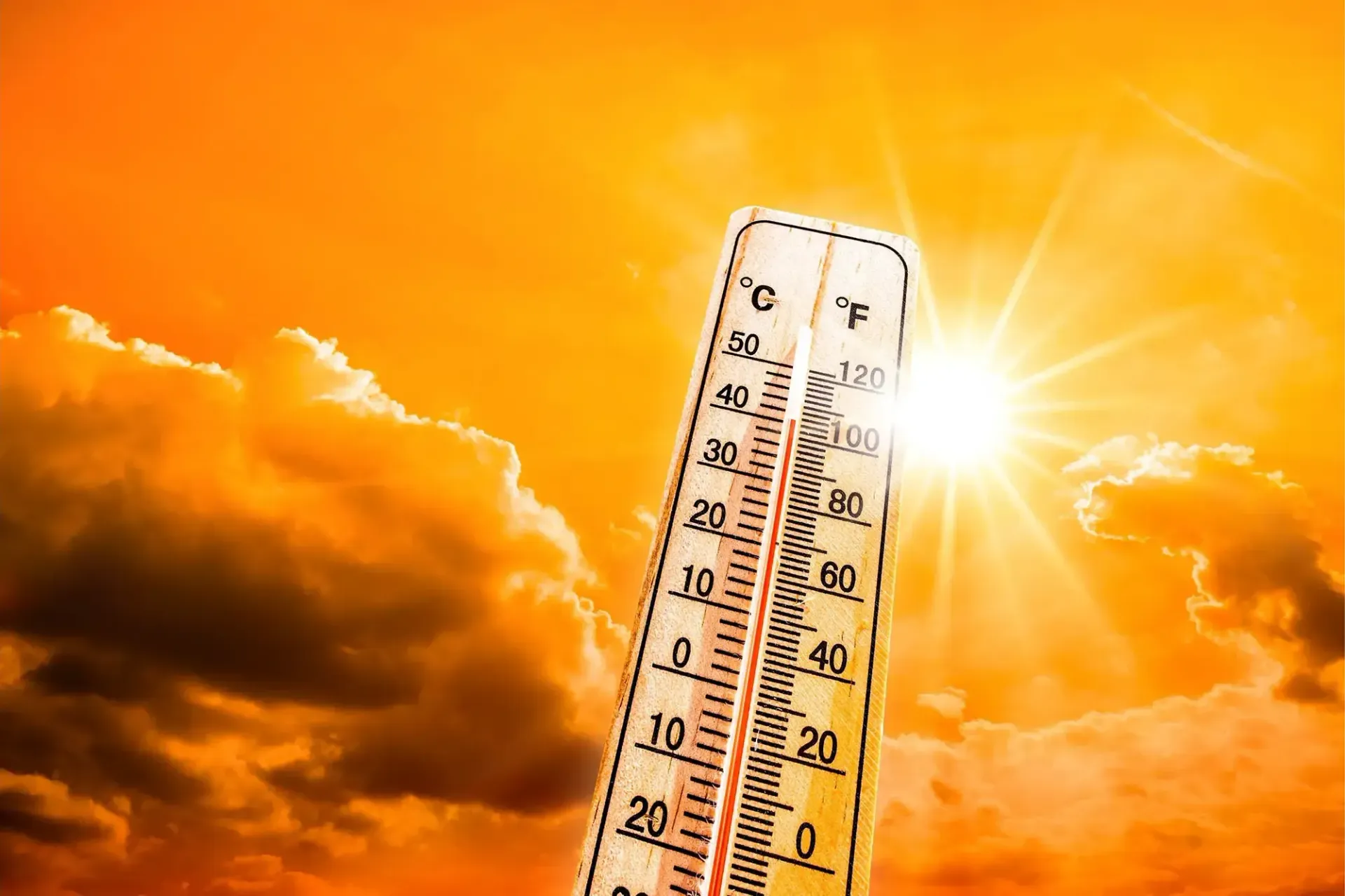 Discover the potencial danger of some heat related diseases