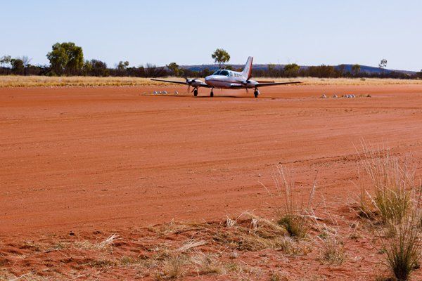 Chart Air aircraft flew 34 Bilbies from Currawinya to Newhaven