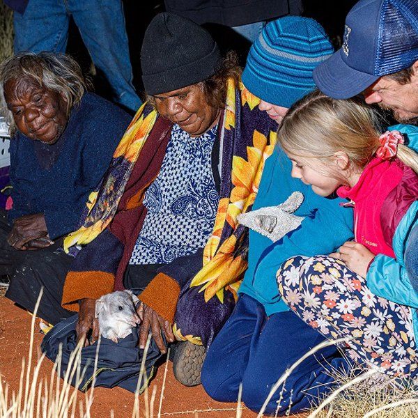 Releasing one of 34 Bilbies into its new home at Newhaven Wildlife Sanctuary