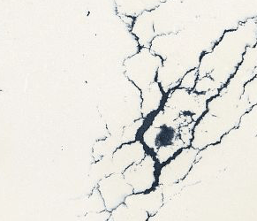 Inverness Cobalt Sample Image