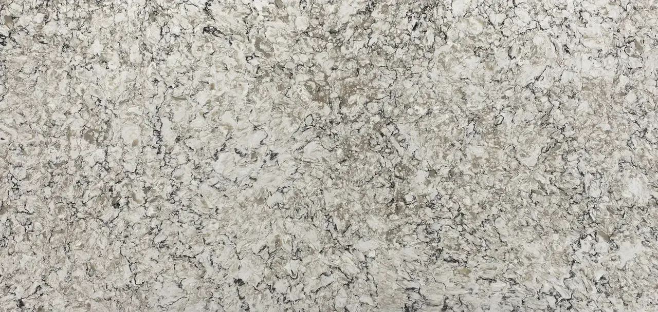 Bellingham Sample Image