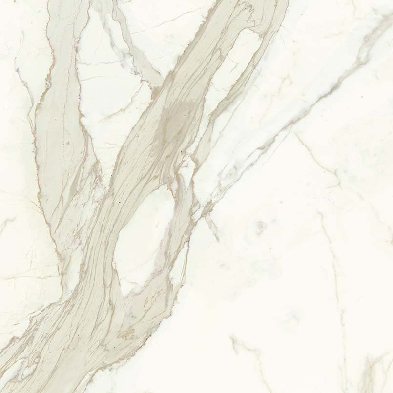 Calacatta Matte Porcelain