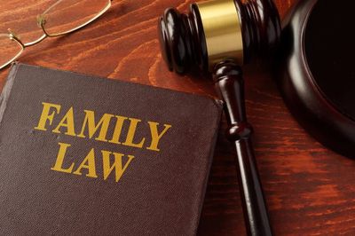 Book With Title Family Law — Wilmington, OH — Dennis & Williams Co. LPA