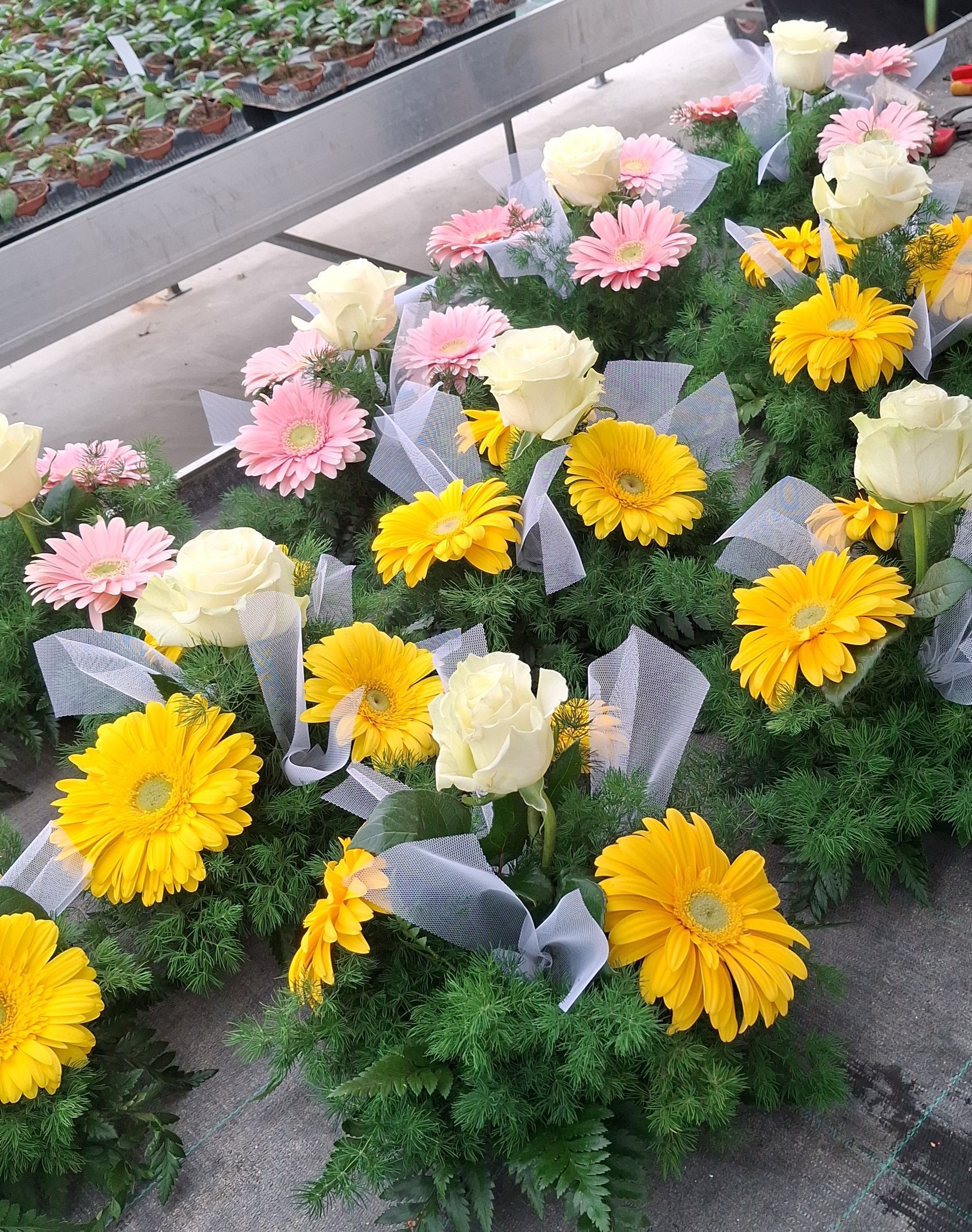 Composizione floreale con gerbere gialle, rose color crema e fiori rosa su un letto di fogliame verde, impreziosito da una rete bianca.