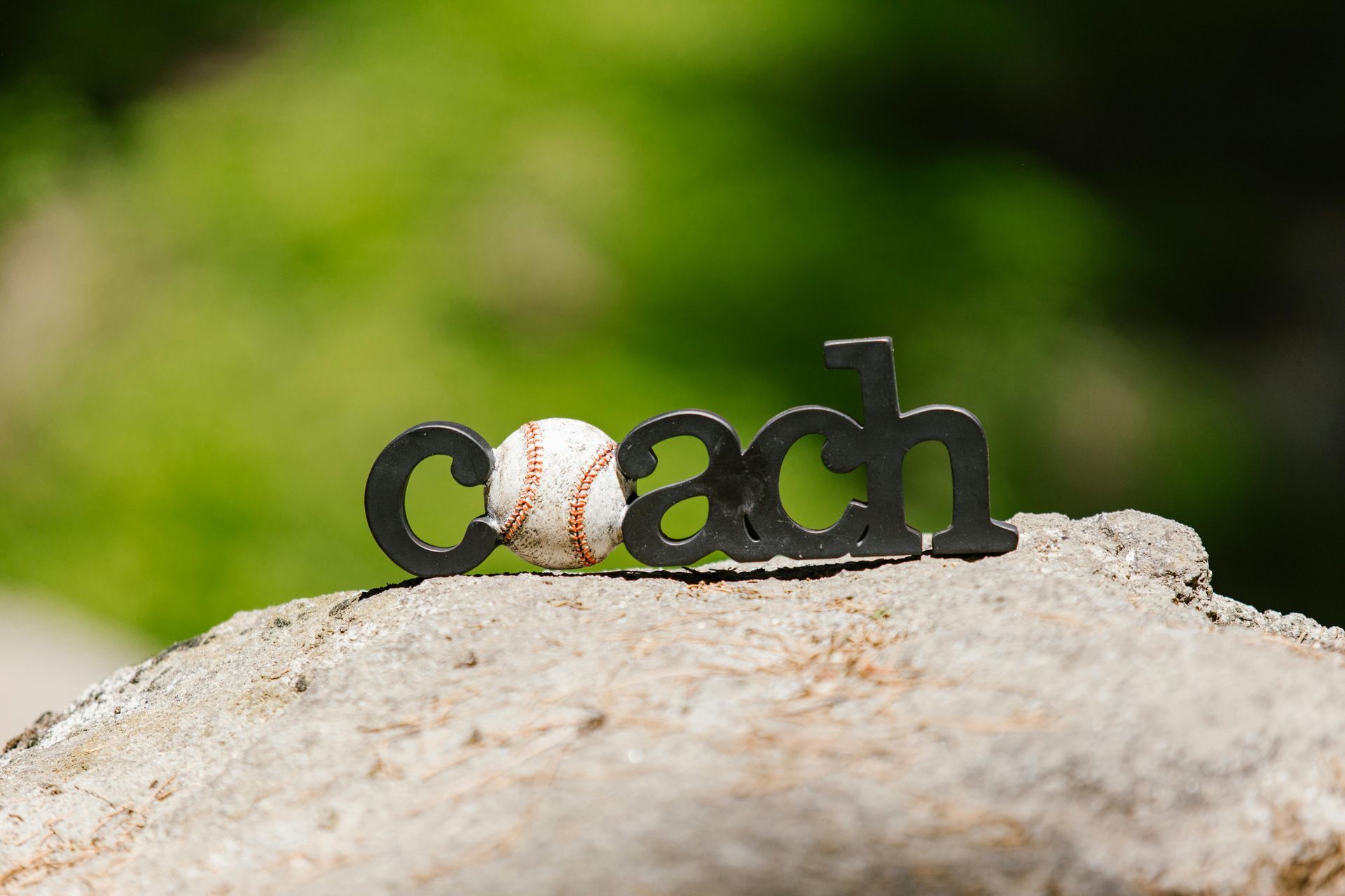 CALLING ALL COACHES