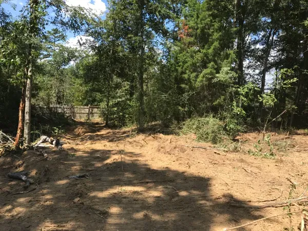 There is a lot of dirt in the middle of the woods.