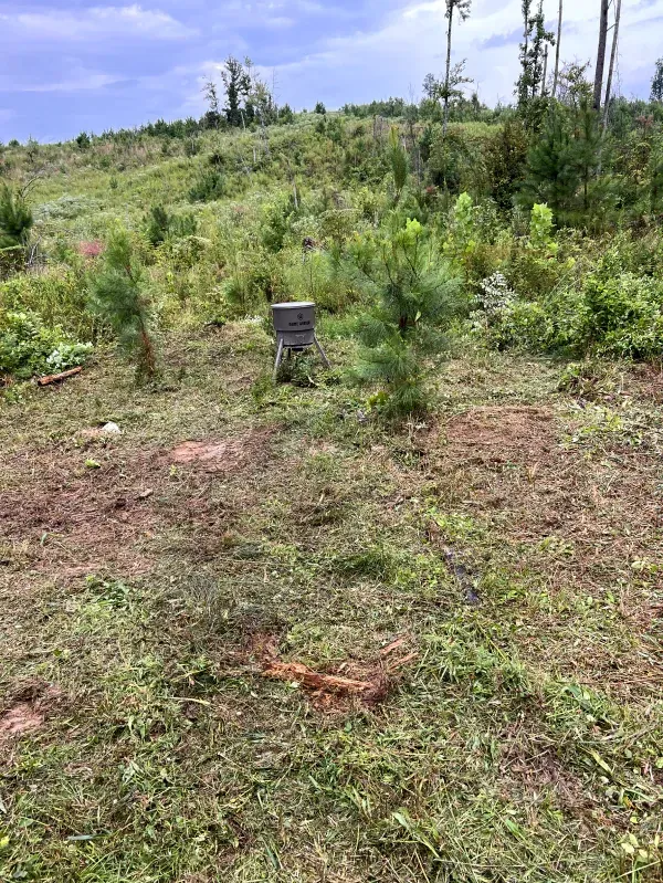 There is a mailbox in the middle of a grassy field.