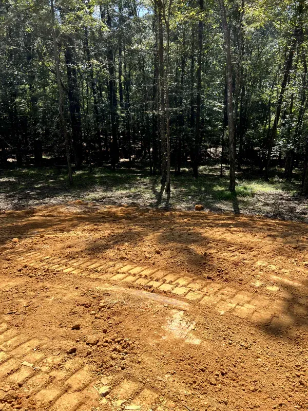 A pile of dirt in the middle of a forest with trees in the background.