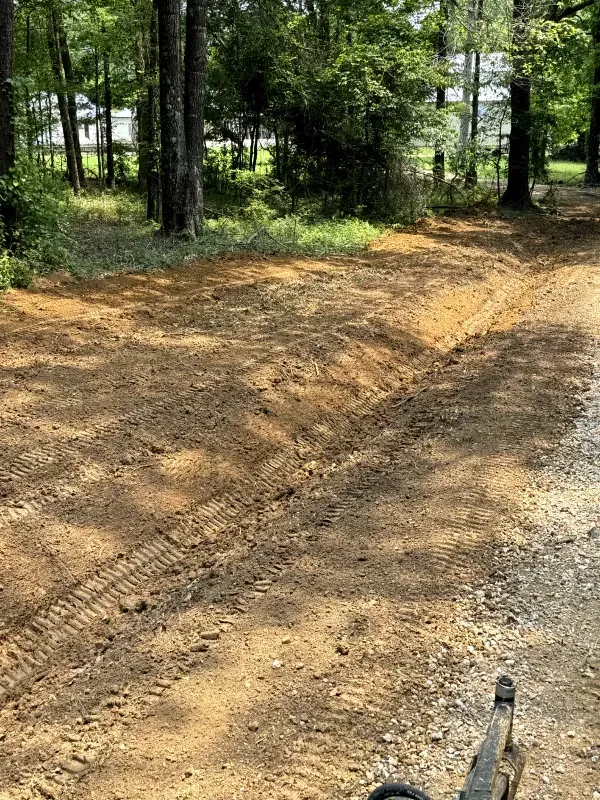 A dirt road in the middle of a forest with trees on both sides.