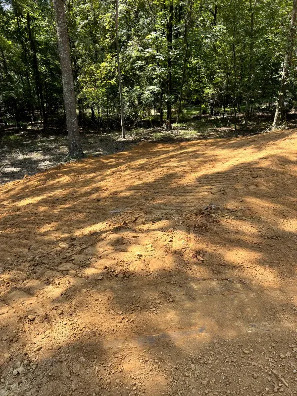 A dirt road in the middle of a forest with trees in the background.
