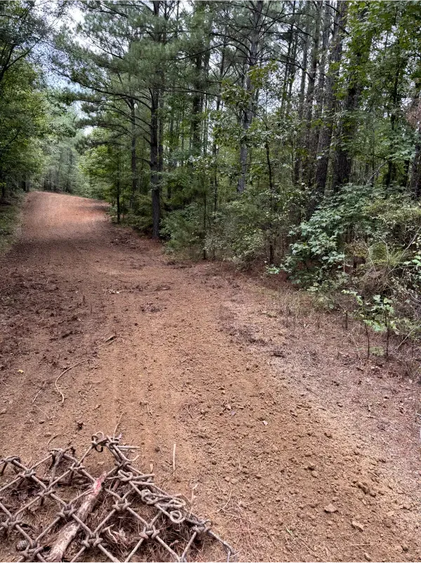 A dirt road in the middle of a forest with trees on both sides.