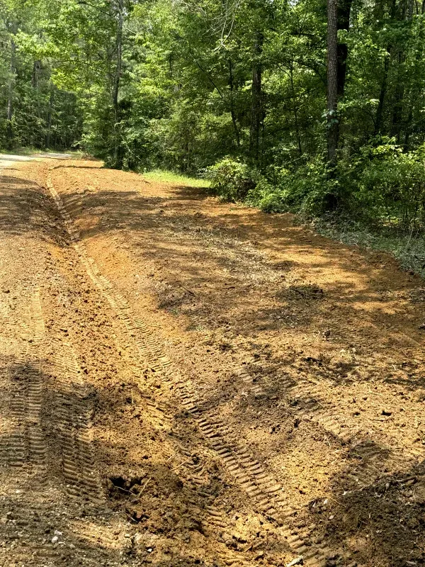 A dirt road in the middle of a forest with trees in the background.
